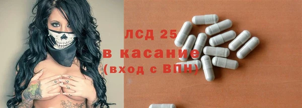индика Алзамай
