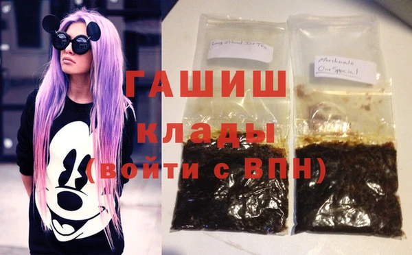 индика Алзамай