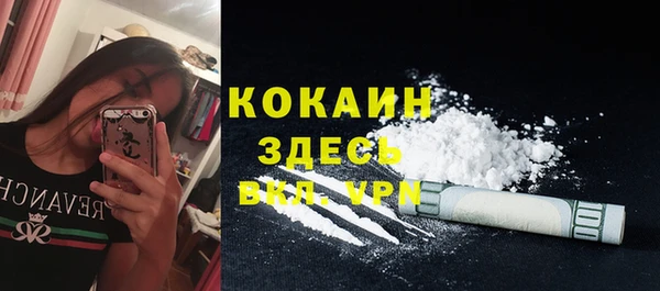 spice Алексин