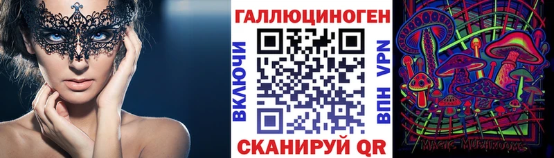 Псилоцибиновые грибы Cubensis  Талдом 