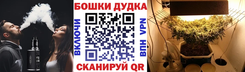 наркота  Талдом  Канабис SATIVA & INDICA 